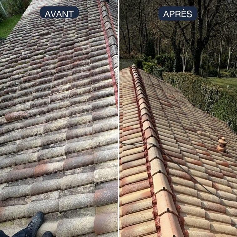 Démoussage de Toiture